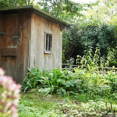 Alte Schreinerei Boutique 3* Colonia