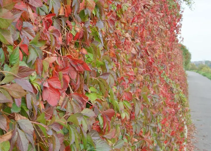 Hotel Alte Schreinerei Boutique