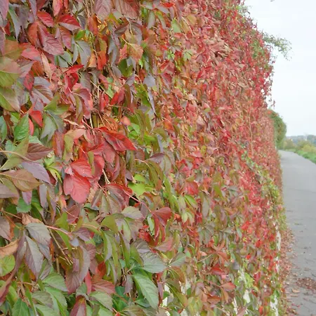 מלון Alte Schreinerei Boutique